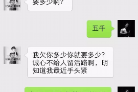 邵东债务清欠服务